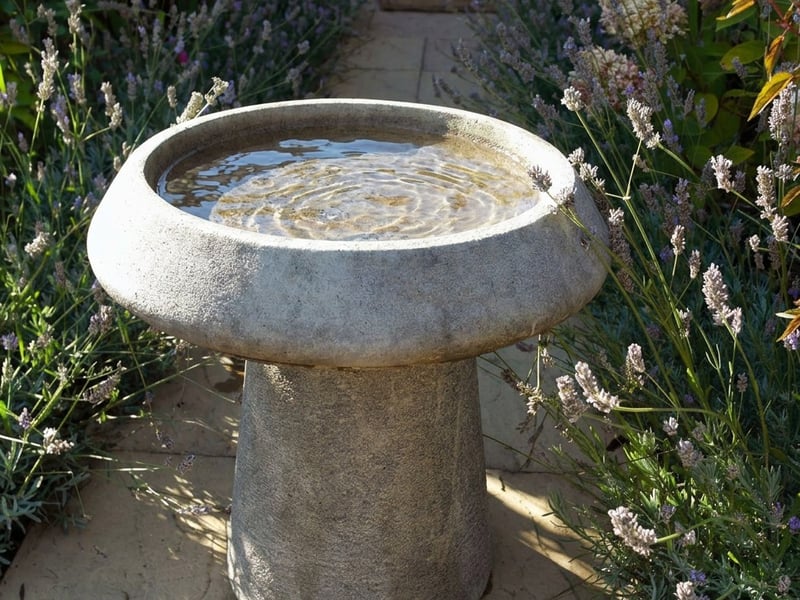 Pure Stone Birdbath with graduated bowl depth ideal for attracting small garden birds