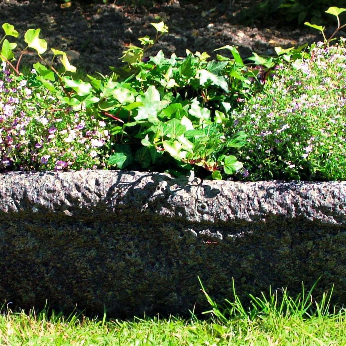 Shire Stone Garden Trough with seasonal planting