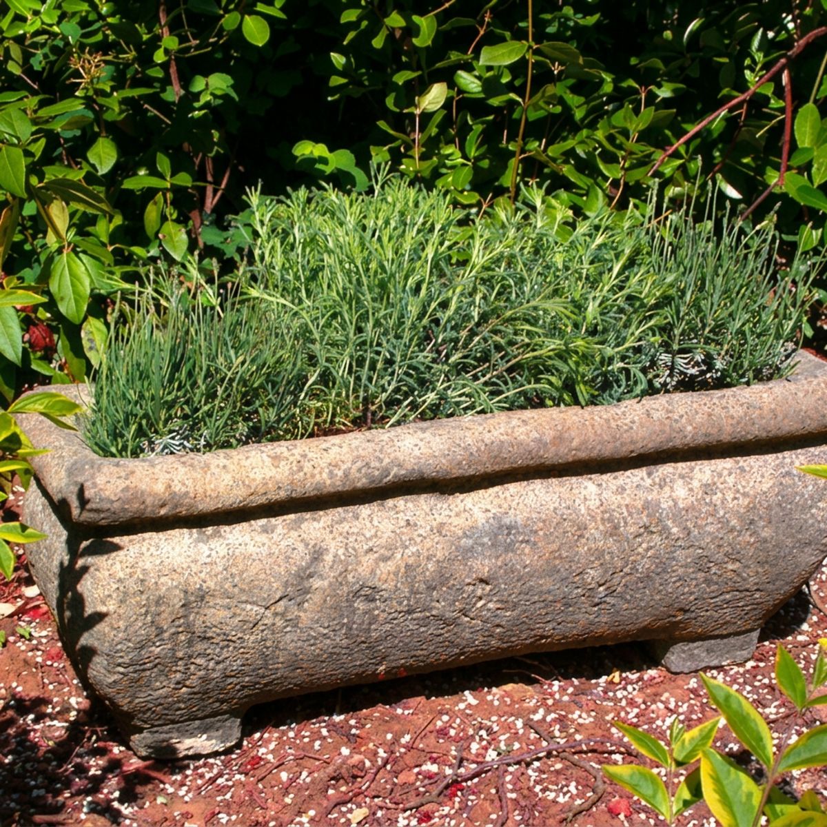 Catalan Stone Garden Trough planted with herbs