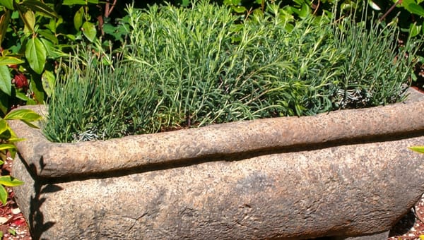 Stone Garden Troughs: Alpine, Herb and Display Planting Ideas