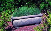Catalan Stone Garden Trough Original View