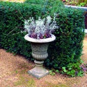 Classical Stone Garden Vase planted with lavender in a garden setting