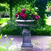 Edwardian Stone Garden Tazza with Hydrangeas in Garden Setting