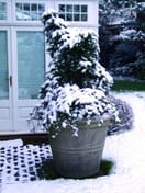 Giant Stone Flower Pot
