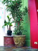 Large Swaggered Stone Garden Planter