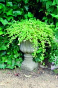 Vienna Fluted Stone Garden Vase in cast stone