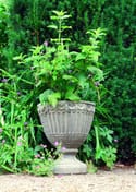 Vienna Leaf Stone Garden Vase - Original View