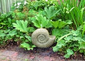 Grand Ammonite Stone Fountain in cast stone