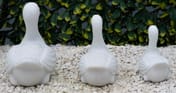 Family Of Ducks Garden Ornaments