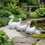 White Duck Family Garden Ornament Set Beside Garden Pond