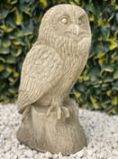 Wise Barn Owl Garden Ornament in Stone - Original Product Photo