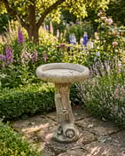 Fox Birdbath in Stone in a cottage garden setting