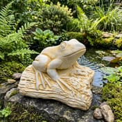 Frog on a Log Stone Garden Ornament beside a garden pond