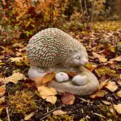 Hedgehog with Apples stone garden ornament in autumn garden setting with fallen leaves