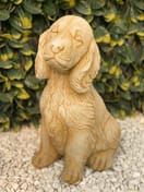 Loyal Spaniel Garden Ornament in Sandstone