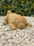 Sleeping Puppy Garden Ornament in Sandstone