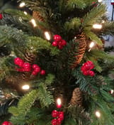 Norwegian Spruce Pre Lit Potted Christmas Tree