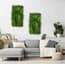 50cm x 100cm Alina Artificial Green Wall