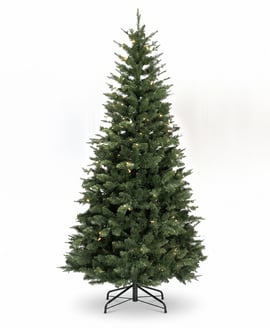 Anders Fir 7ft Tree