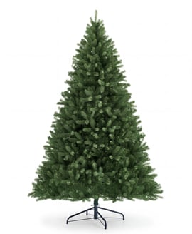 Arundel Spruce 7.5ft Tree