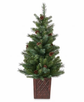 Hazlenut Potted Pine Christmas Tree 4ft