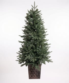 Rivington Fir 4.5ft Tree With Potted