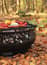 Cookking Boston 80cm Decorative Fire Bowl