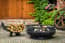 Cookking Boston 80cm Decorative Fire Bowl