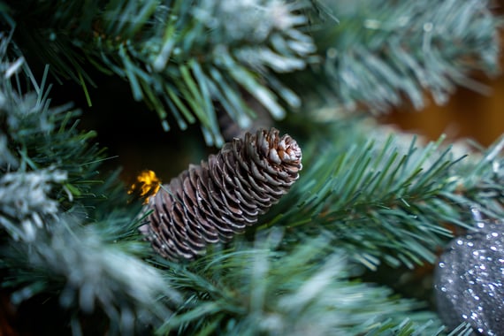 Lakeside Spruce Slim Christmas Tree 8ft