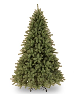 Midwinter Spruce Christmas Tree