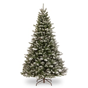Snow Dusted Spruce Christmas Tree 6ft to 7ft