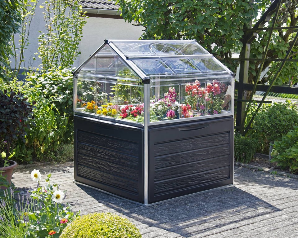 Palram Canopia Plant Inn 4x4 Raised Cold Frame