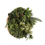 50cm Artificial Living Wall Art in Circular Frame Talia Joy