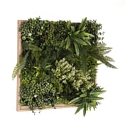 50x50cm Artificial Living Wall Art in Frame Jade Envy