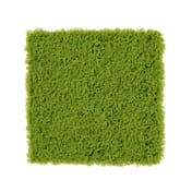 50x50cm Artificial Living Wall Moss