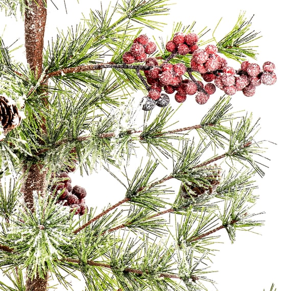 Winter Berry Bristle Tree in Hessian with Berries