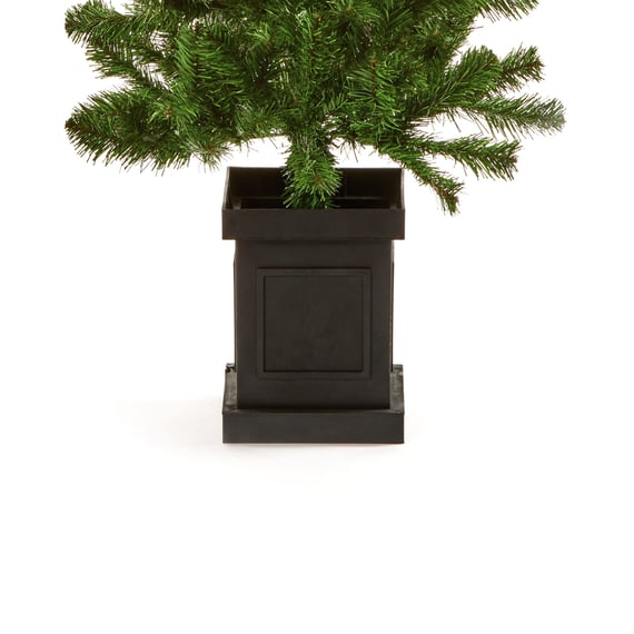 Potted Twin Welcoming Christmas Trees