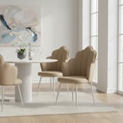 Tian Mink Velvet Dining Chair