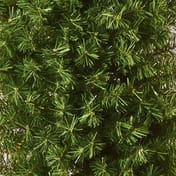 Cresant Moon Artificial Christmas Tree 1.8m