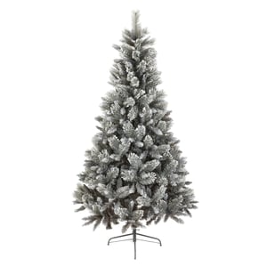 Iceland Frosted Fir Christmas Tree 6ft to 8ft