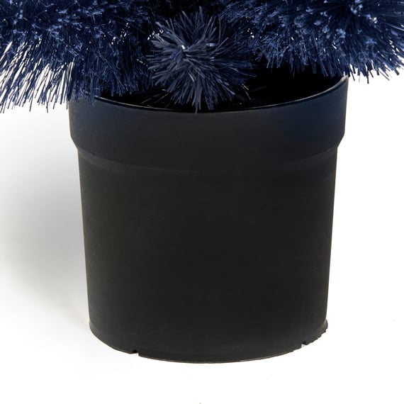 Midnight Frost Fir Potted Christmas Tree