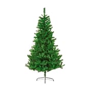 Pennine Spruce Christmas Tree