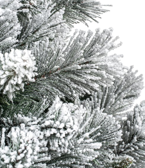 Snowy Pennine Spruce Parasol Christmas Tree