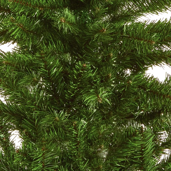 Twin Welcoming Christmas Trees in Pots
