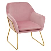 Xander Pink Velvet Modern Accent Chair witg Gold Frame