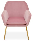 Xander Pink Velvet Modern Accent Chair witg Gold Frame