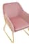 Xander Pink Velvet Modern Accent Chair witg Gold Frame