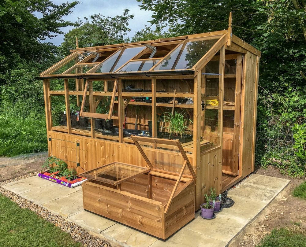 Swallow Jay ThermoWood potting shed greenhouse in a garden, with open roof vents, glazed sides and a matching cold frame