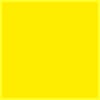 Paint · Golden Somer