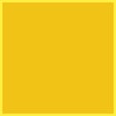 Paint · Mudgley Mustard